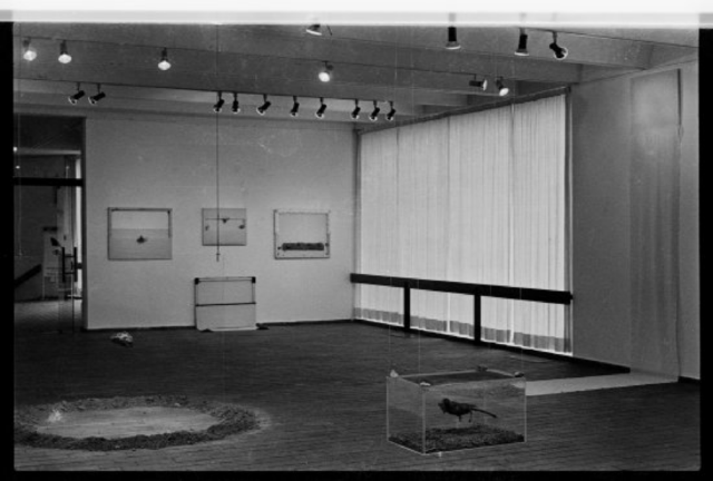 Between two courtyards. Fina Miralles, Susana Solano, and Eva Lootz's visit to Espai 10 | Joan Miró Foundation