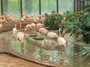 Beijing Zoo