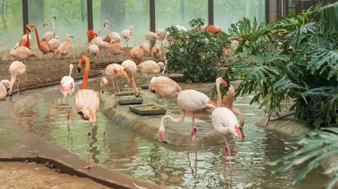 3_Beijing Zoo