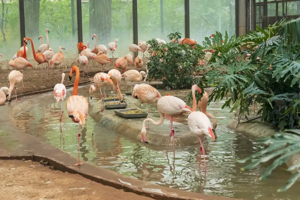 3_Beijing Zoo