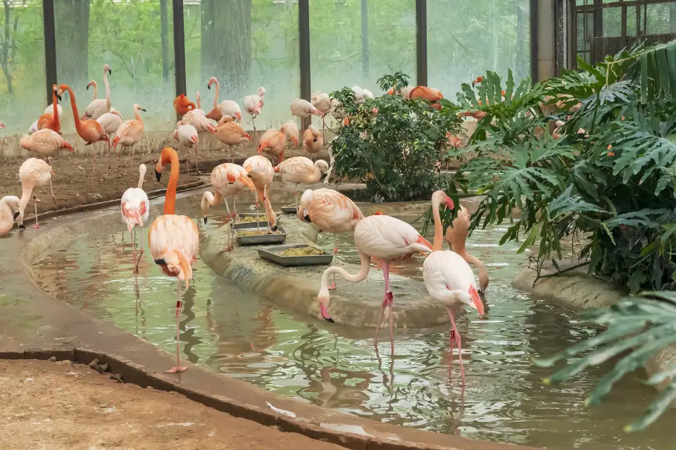 3_Beijing Zoo