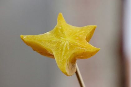 老炳·七丛松甘草水果