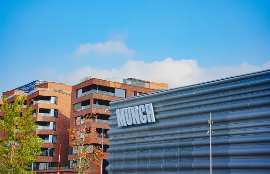 蒙克美術館門票青年