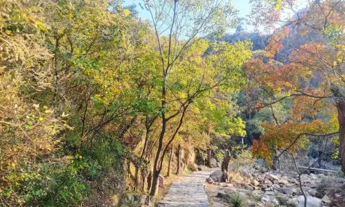 Peach Blossom Gully Scenic Area