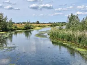 Parco nazionale De Biesbosch