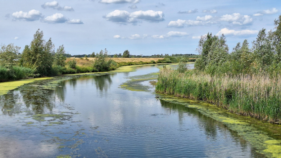 Nationaal Park De Biesbosch