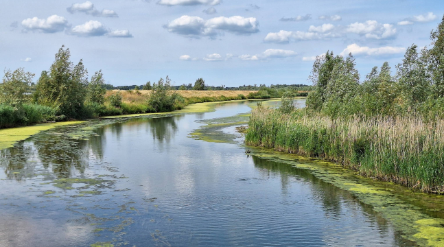 Nationaal Park De Biesbosch