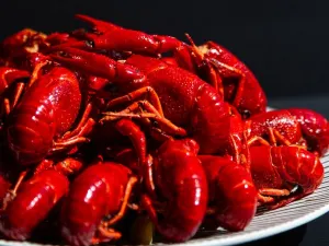 一餐廳佛羅倫薩