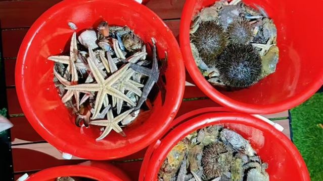 Wanning Shenzhou Peninsula Seafood Spot