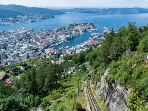 Fløyfjellet