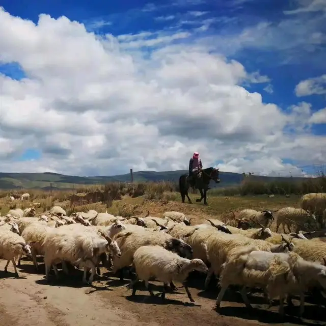 去中國西北旅行