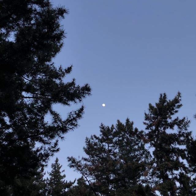 [속초] 봄 밤의 속초 해수욕장