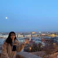 헝가리 부다페스트, 국회의사당 야경