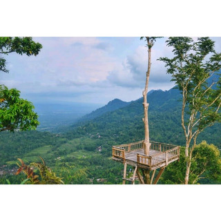 If you love exploring new place and new adventure, you ought to go to the Punthuk Sukmojoyo. Located near Borobudur temple, this hill has one special characteristic, it has one board to stand up from the tree. Indeed, this place will be so lovely place to visit specially for the one who love photography. You will get any perfect angle to take the beautiful scenery. When it comes to the sunset, there will be no doubt about its beauty.
Explaining about the name, Punthuk means a down land, which mean unfertilized land. Punthuk Sukmojoyo peak is the highest peak among the attracted hills around the Borobudur Temple, marked by a stone monument inscribed "Punthuk Sukmojoyo". The peak area is quite narrow and surrounded by canyons along with benches that enable you to sit or just to take a break from the hiking, a tree house, and self photo spot on the cliff.
Located on the high area, Punthuk Sukmojoyo will always be the perfect place to enjoy the scenery around Magelang regency. Mount Merapi, Mount Merbabu, and a series of Menoreh Mountains can be clearly seen from this spot. From the hill, the visitors can also see the Borobudur and Chicken Church which is the heart of tourist in Borobudur. Moreover, the other beautiful hills around Magelang can also be seen from here.
#summervacation#hikingtrails#urbanexplorer