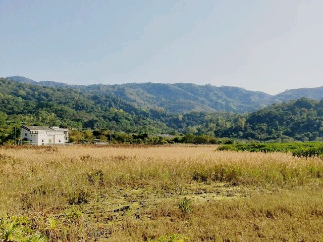 輕鬆易行打卡勝地
