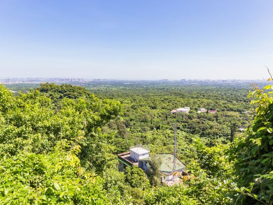 雷瓊海口火山羣世界地質公園