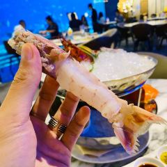 OSSIANO UNDERWATER RESTAURANT & BAR User Photo