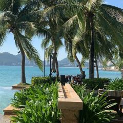 三亚珊瑚湾文华东方酒店·面吧·海懵露营小酒馆 User Photo