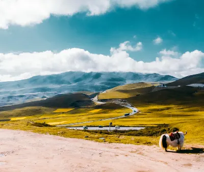 Hotels near Yushu Dizhen Zai Hou Chongjian Exhibition hall