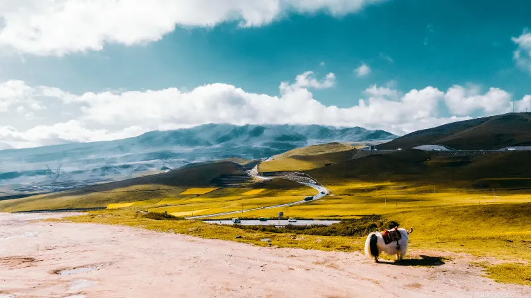 Авиабилеты Синьинг Циньхуандао