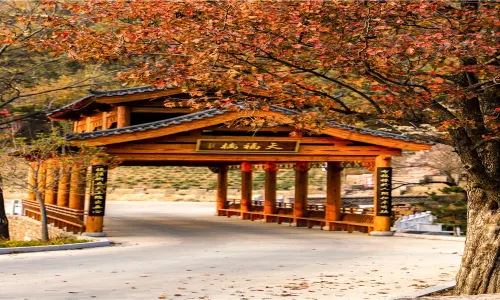 고무당산