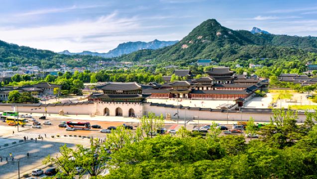 Seoul Gyeongbokgung Palast/Blaues Haus + Bukchon Hanok Village + N Seoul Tower + Myeongdong Halbtagestour