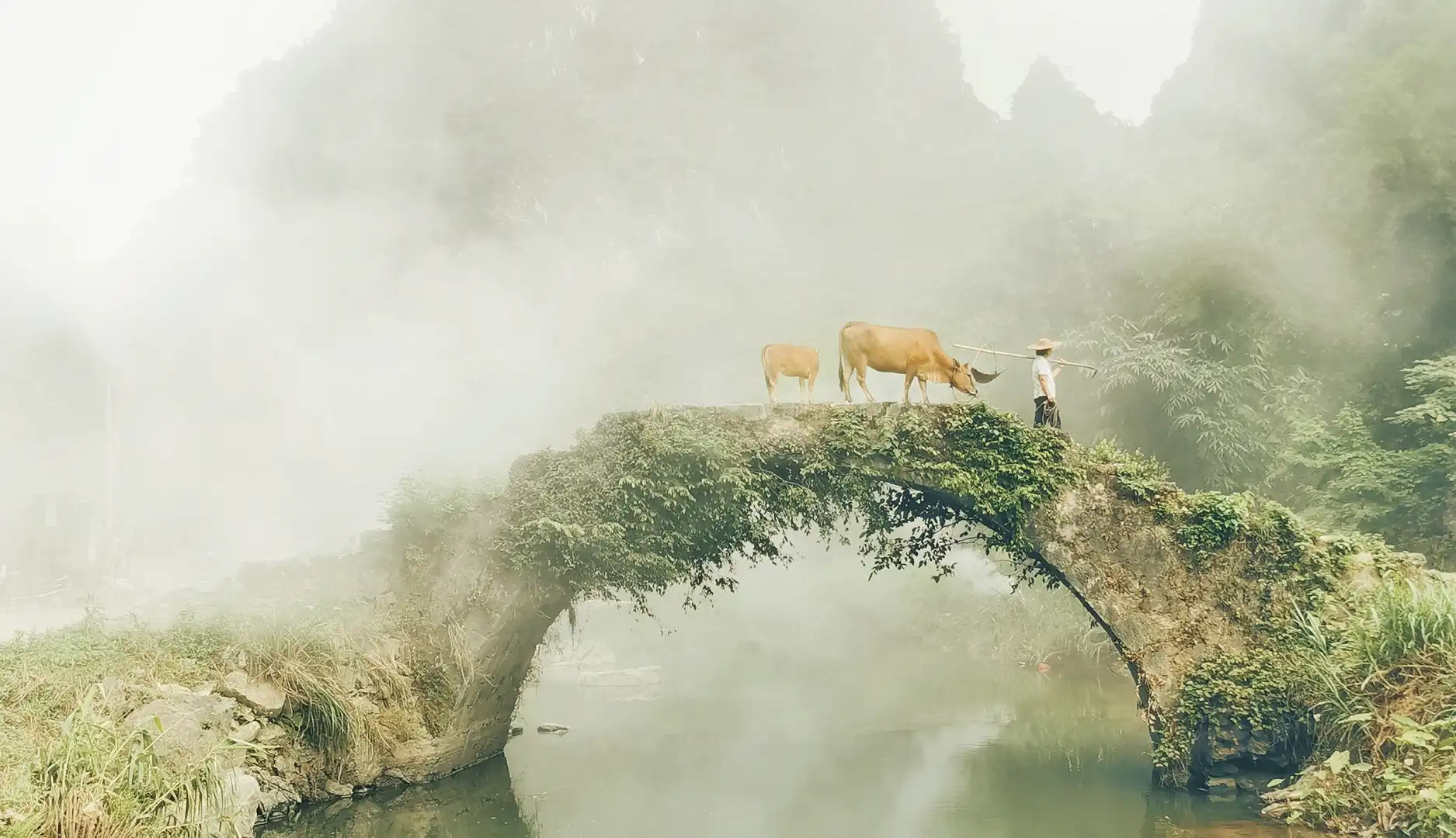 Hotels near Little Zhaozhou Bridge
