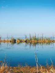 Национальный водно-болотный парк озера Водопад