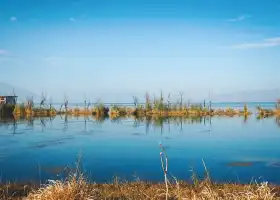 Национальный водно-болотный парк озера Водопад