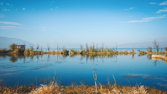 Beijing Wild Duck Lake National Wetland Park