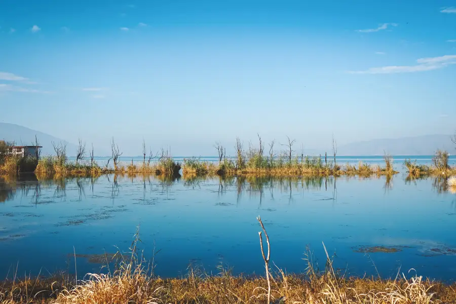 Beijing Wild Duck Lake National Wetland Park