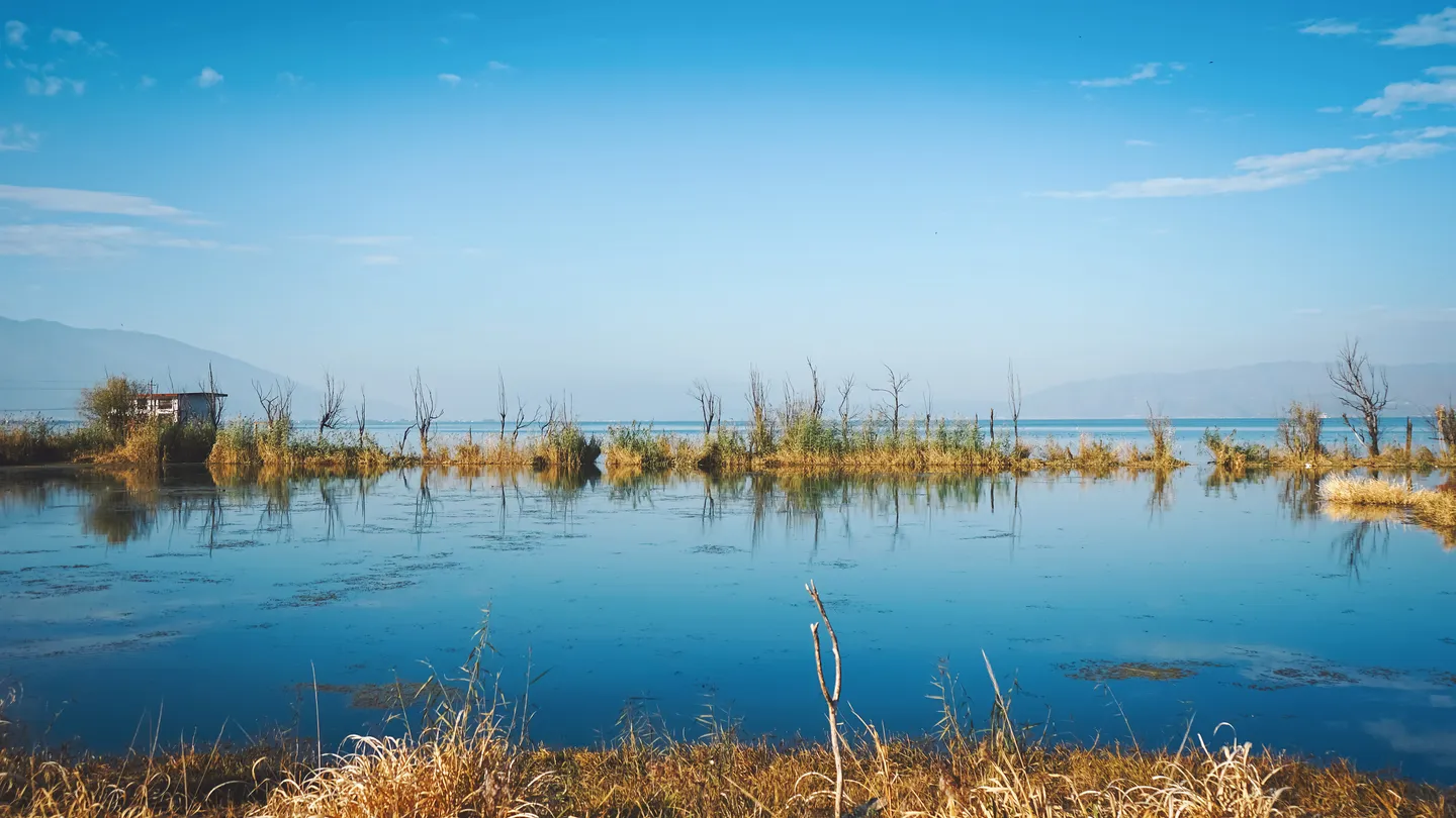 1_Beijing Wild Duck Lake National Wetland Park