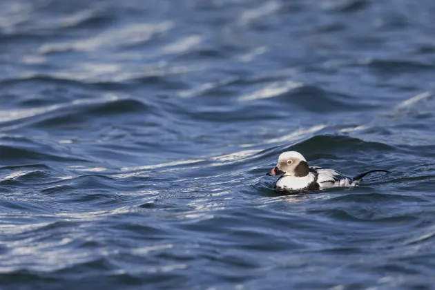 Lucerne Lake View Apartments