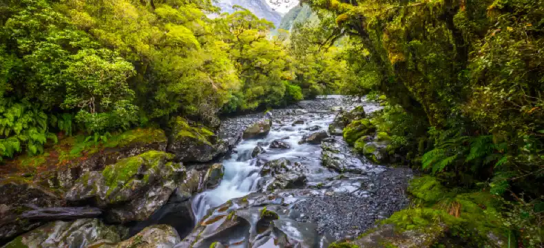 Shell Properties in Longnan