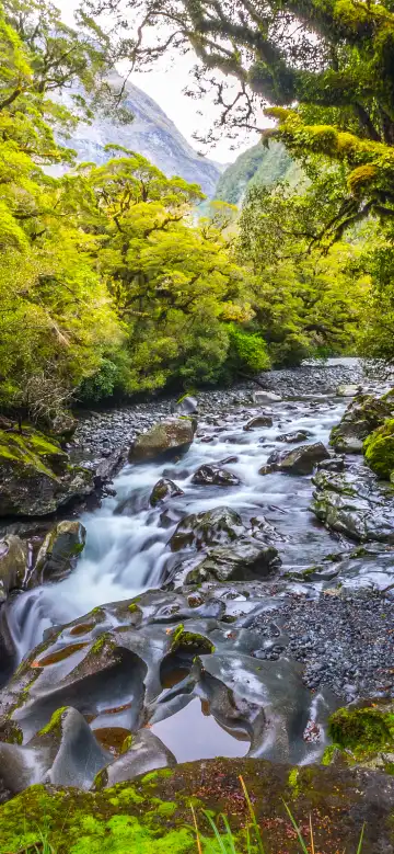 Shell Properties in Longnan