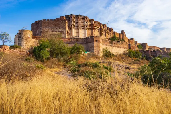 Scandinavian Airlines Flights to Jodhpur