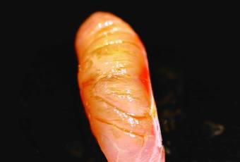 Sushi Yoshitake用戶圖片