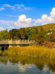 Yungang Forest Park