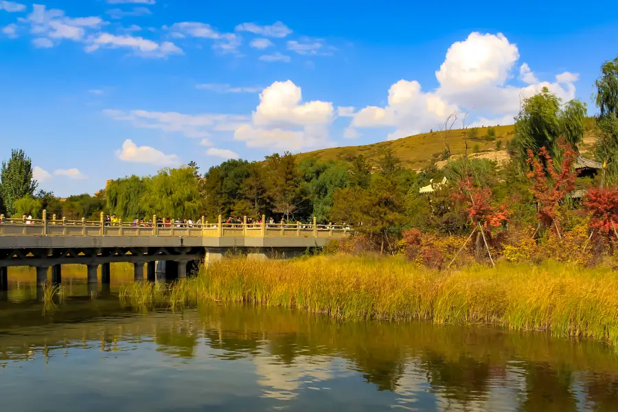 Yungang Forest Park