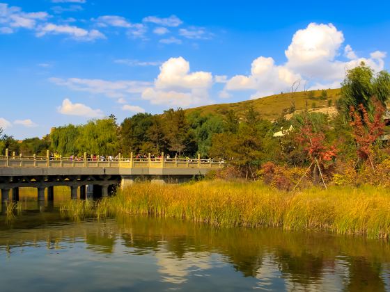 Yungang Forest Park