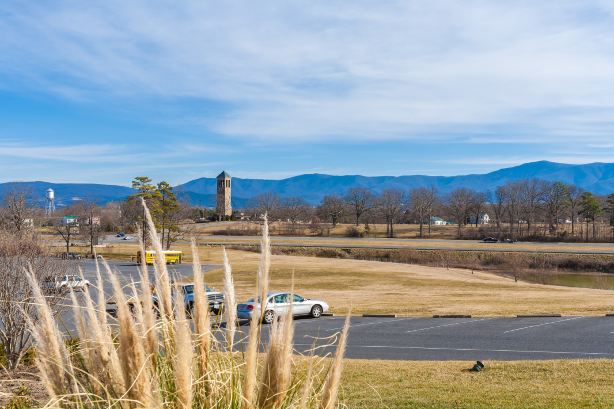 luray