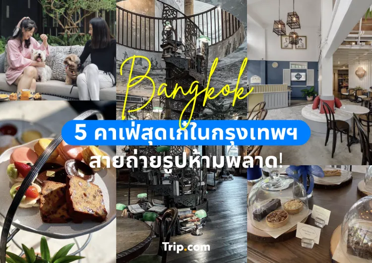 5 คาเฟ่สุดเก๋ในกรุงเทพฯ สายถ่ายรูปห้ามพลาด!