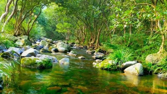 Damiaojiang Ecological Tourism Scenic Area