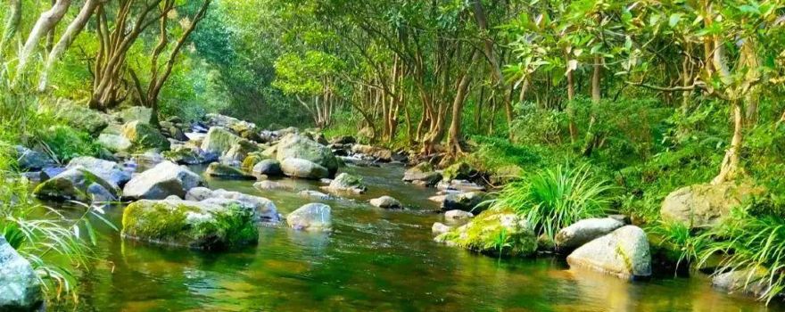Damiaojiang Ecological Tourism Scenic Area