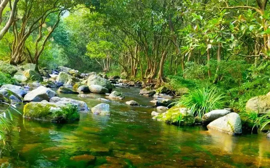 大廟江生態旅遊景區