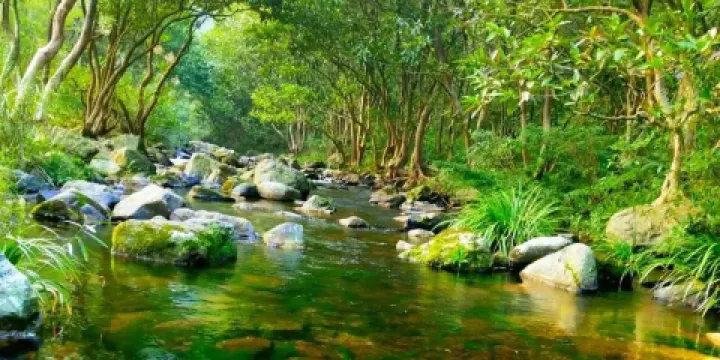 大廟江生態旅遊景區