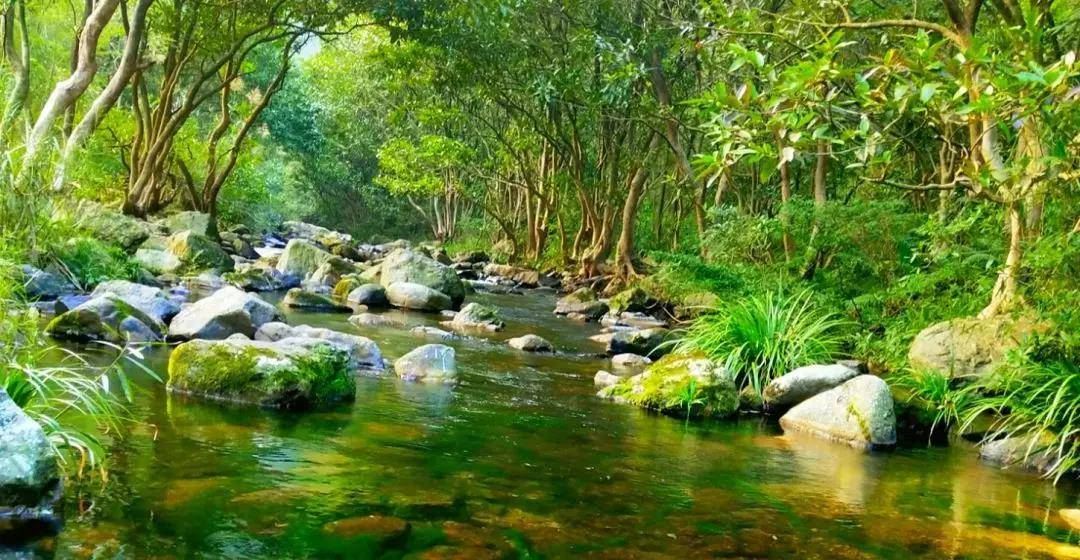 Damiaojiang Ecological Tourism Scenic Area