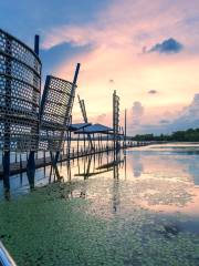 The Brilliance of Lake Lihu