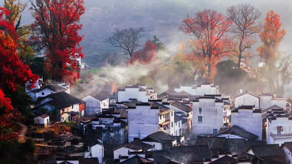 Fall Foliage Sightseeing in Wuyuan