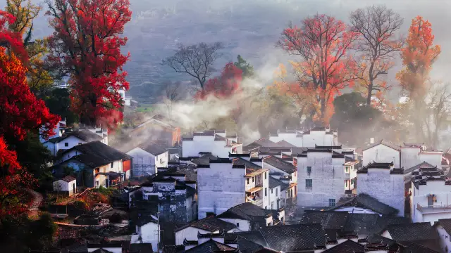 Fall Foliage Sightseeing in Wuyuan